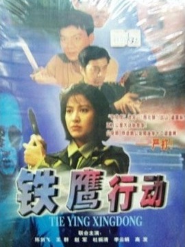 铁鹰行动第02集