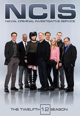 海军罪案调查处第十二季第14集