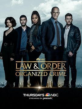 法律与秩序·组织犯罪第三季第21集