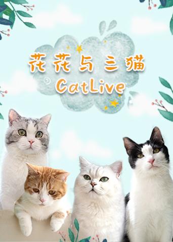 花花与三猫catlive20190904期