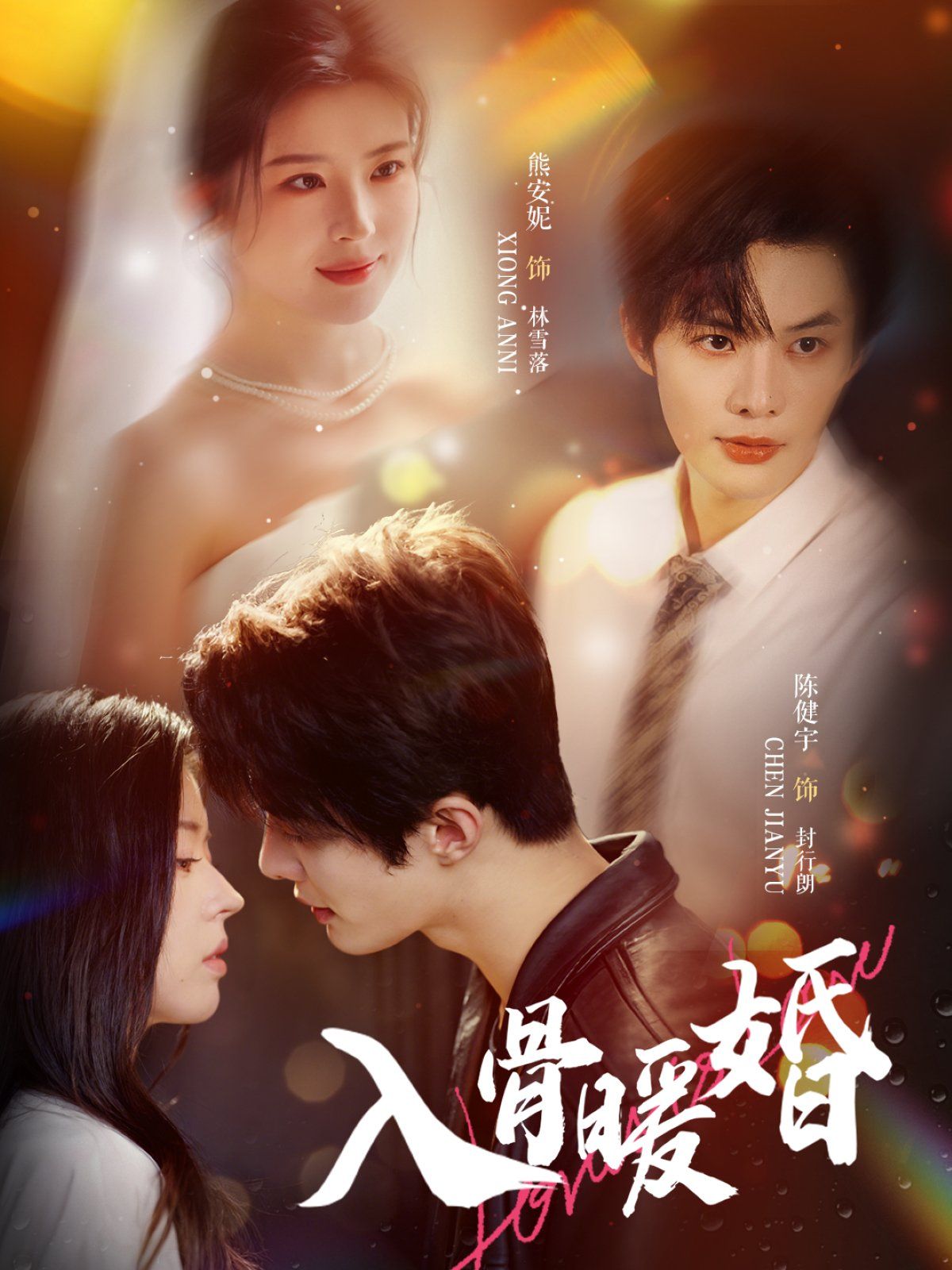 入骨暖婚全集完结(大结局)