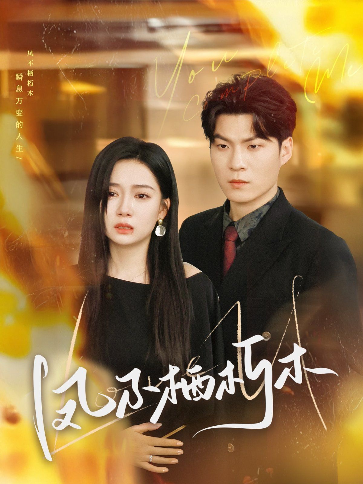 凤不栖朽木第61-80集完结(大结局)