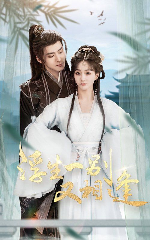 浮生一别又相逢第1-30集