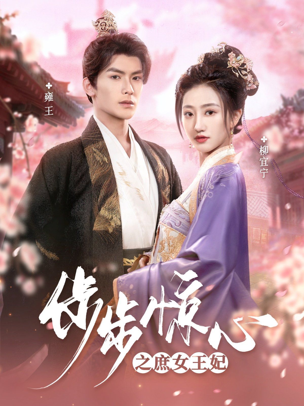 步步惊心之庶女王妃第21-40集