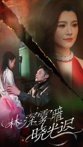 林深雾暗晓光迟第21-40集