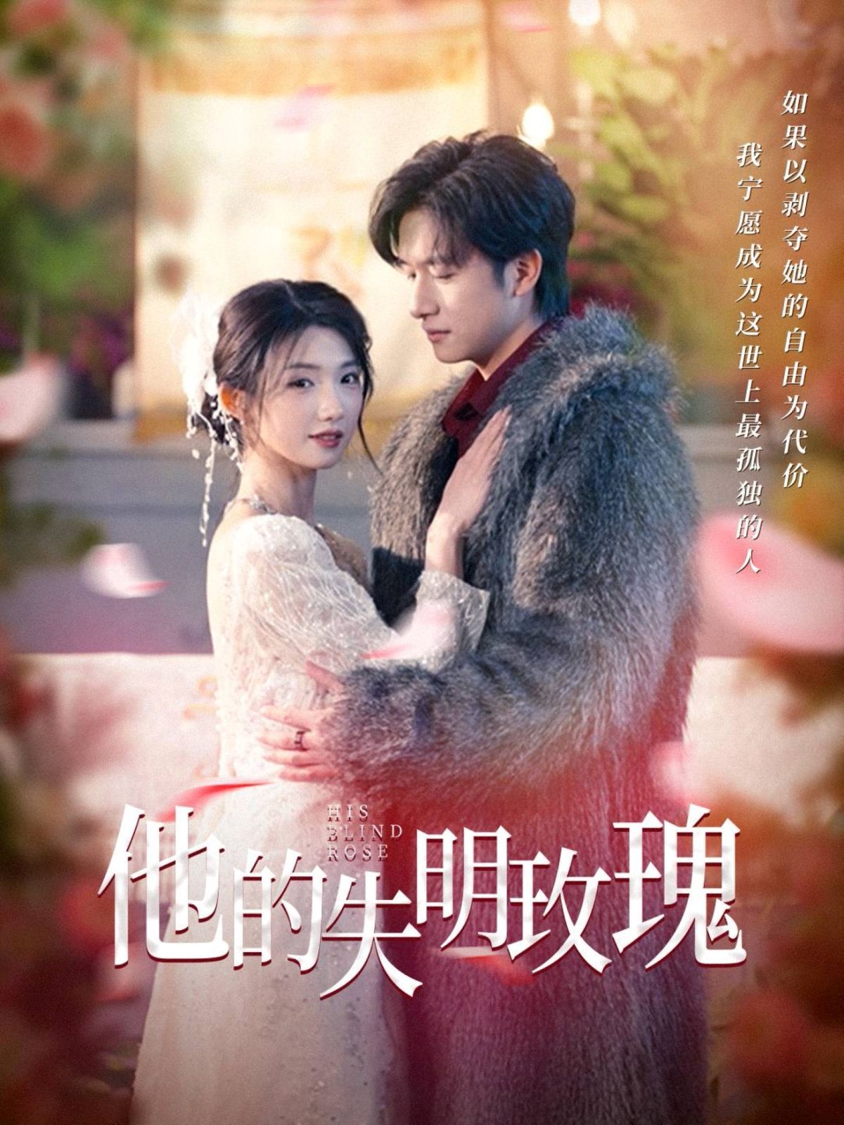 他的失明玫瑰第21-40集