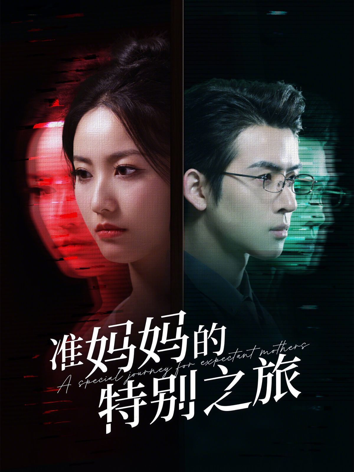 准妈妈的特别之旅第41-60集