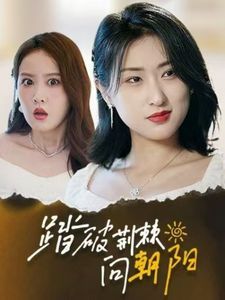 踏破荆棘向朝阳第61-80集完结(大结局)