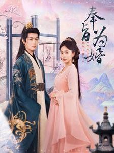 奉旨为婚第41-60集