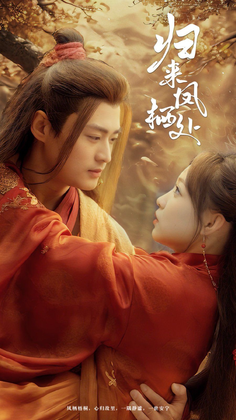 归来凤栖处第1-20集