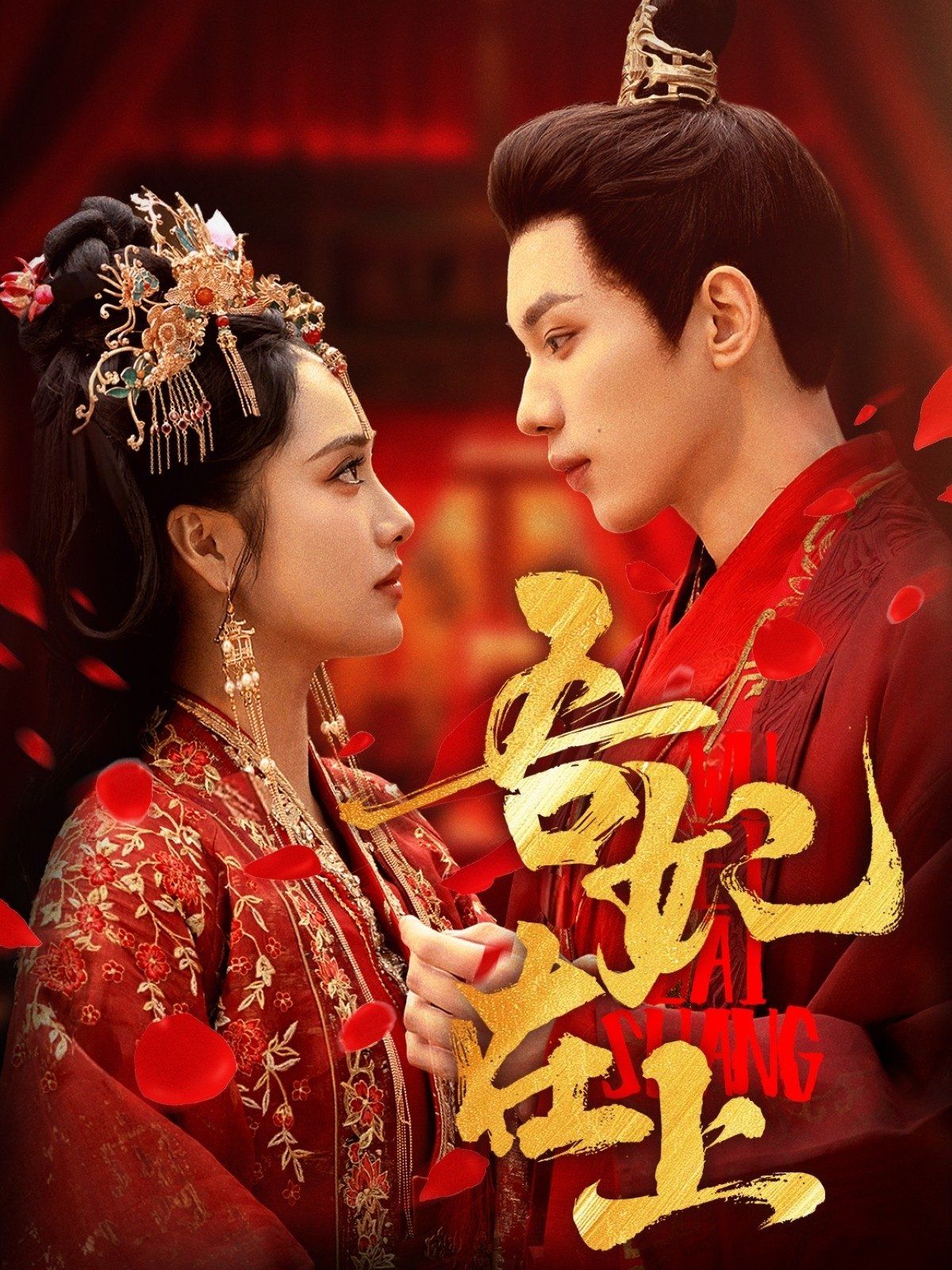 吾妃在上第21-40集