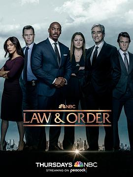 法律与秩序 第二十二季第4集